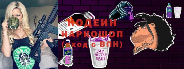 шишки Белокуриха